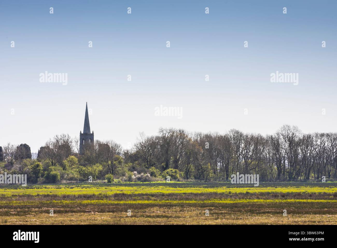 palude di fen Foto Stock