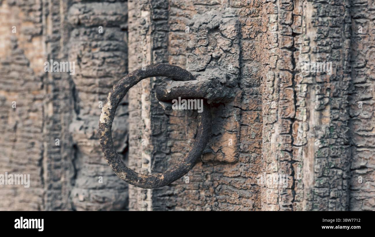 Vecchia porta in legno d'epoca, primo piano sullo sfondo Foto Stock