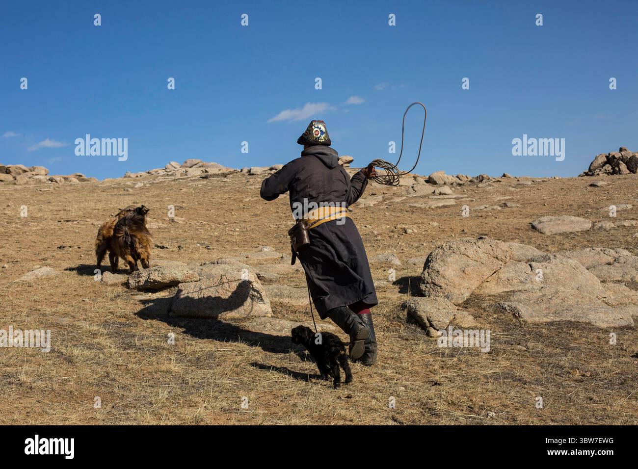 10 aprile 2017, Erdene, Tuev, Mongolia: ULAMBADRAH, 20, insegue una capra con un lazo alla fine della giornata sulle praterie mongole. Due persone su cinque in Mongolia guadagnano da vivere allevando bestiame. I pastori generalmente tengono pecore, capre e cavalli, e talvolta cammelli e bovini. (Immagine di credito: © David Ryder/ZUMA Wire) Foto Stock