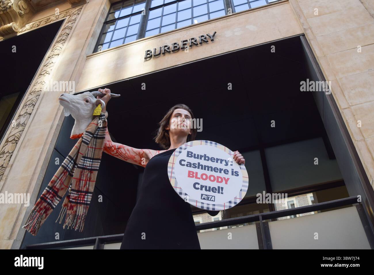 Londra, Regno Unito. 16 luglio 2025. Un attivista PETA (People for the Ethical Treatment of Animals) si erge con una "testa di capra mozzata" artificiale, una sciarpa in stile Burberry coperta di sangue finto e un cartello che dice "il cashmere è crudele" fuori dalla sede di Burberry a Horseferry House mentre il gruppo di moda tiene la sua Assemblea generale annuale (AGM). La protesta viene messa in scena come parte della campagna in corso del gruppo per i diritti degli animali che chiede a Burberry di eliminare il cashmere dai suoi prodotti e utilizzare invece tessuti vegani. Credito: SOPA Images Limited/Alamy Live News Foto Stock