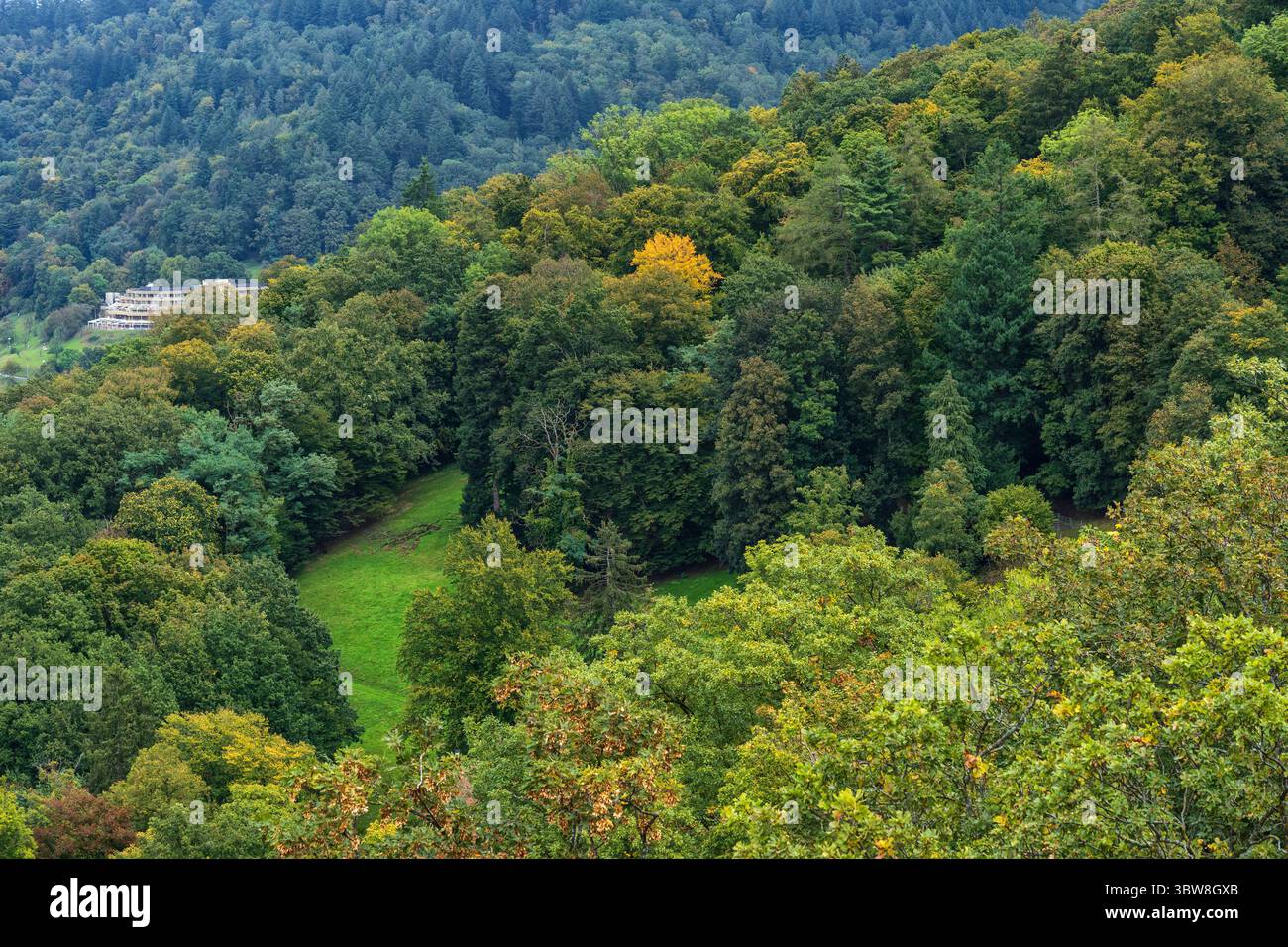 Paesaggio della Foresta Nera nello stato del Baden-Wurttemberg, vicino a Friburgo in Brisgovia, Germania sud-occidentale. Foto Stock