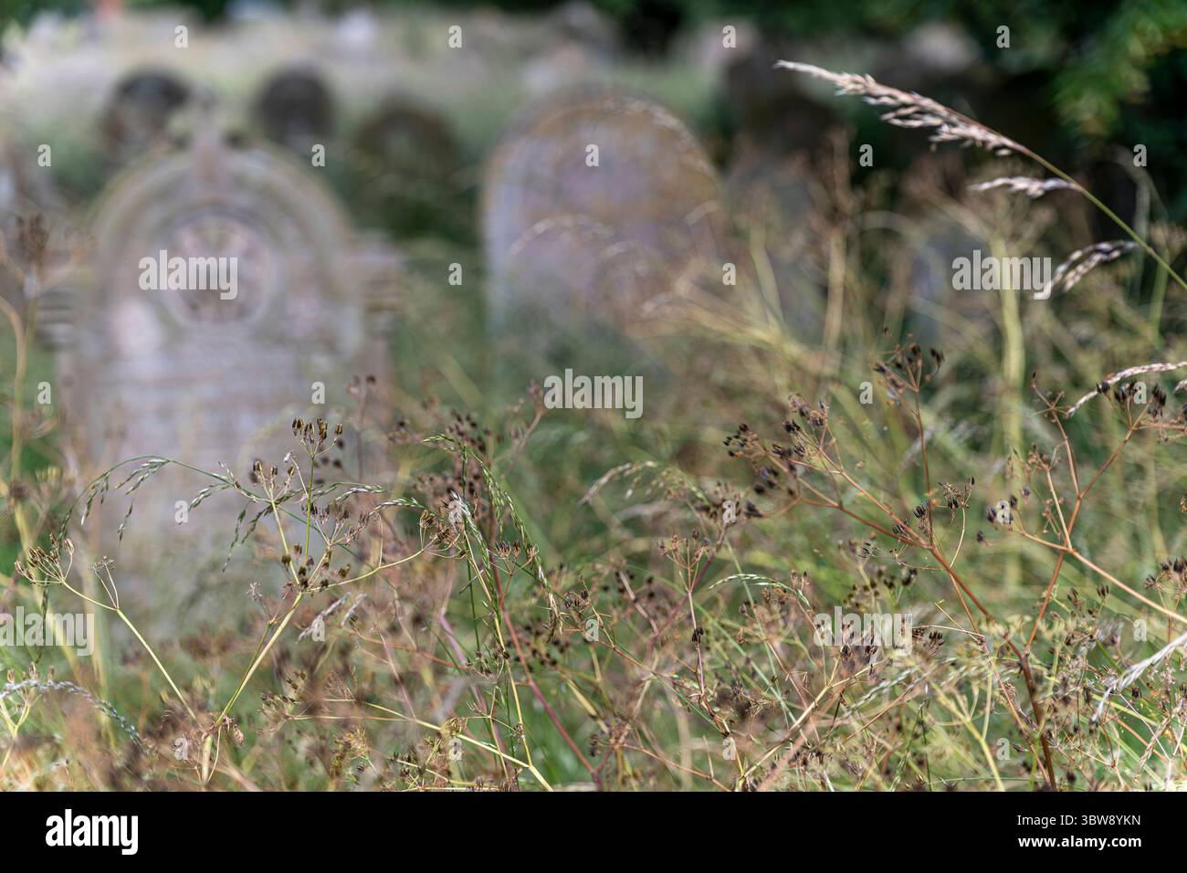Il cimitero della chiesa di Santa Maria a Bungay. Nonostante sia un cimitero, è romantico con la morbidezza delle lunghe erbe che si mescolano alle tombe. Foto Stock
