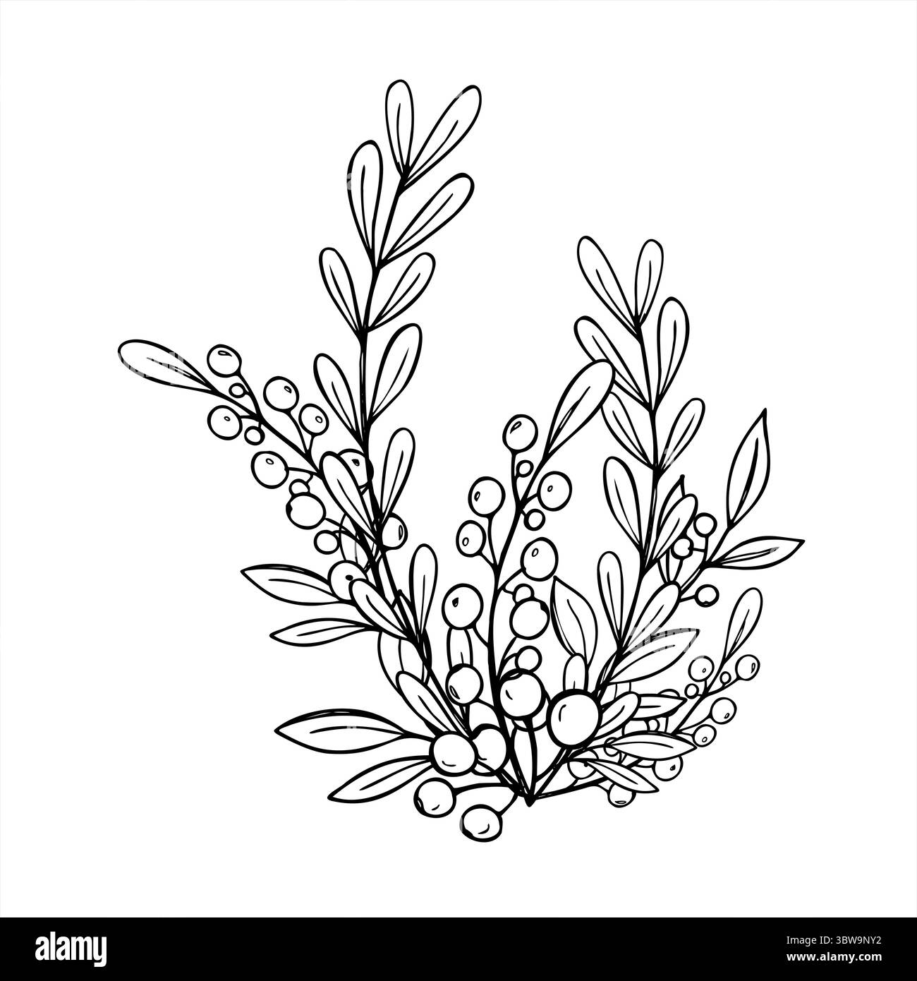 Rami astratti con linee vettoriali di foglie e frutti di bosco illustrazioni a doodle. Bouquet monocromatico in stile scandinavo minimalista. Per Natale Illustrazione Vettoriale