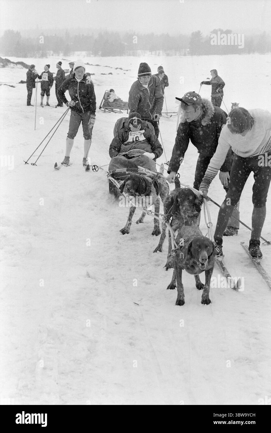 Corrente 17 - 2 - 1971: Bikila ha vinto l'oro Abebe Bikila dall'Etiopia, due volte campione olimpico di maratona, ha gareggiato a Beitostølen a metà aprile. Il vecchio campione ha vinto la sua classe, slitta trainata da cani a tre squadre. E' stato coinvolto in un incidente d'auto tre anni fa. L'ex campione olimpico è paralizzato. Foto: Ivar Aaserud / Aktuell / NTB ***FOTO NON ELABORATA*** Foto Stock
