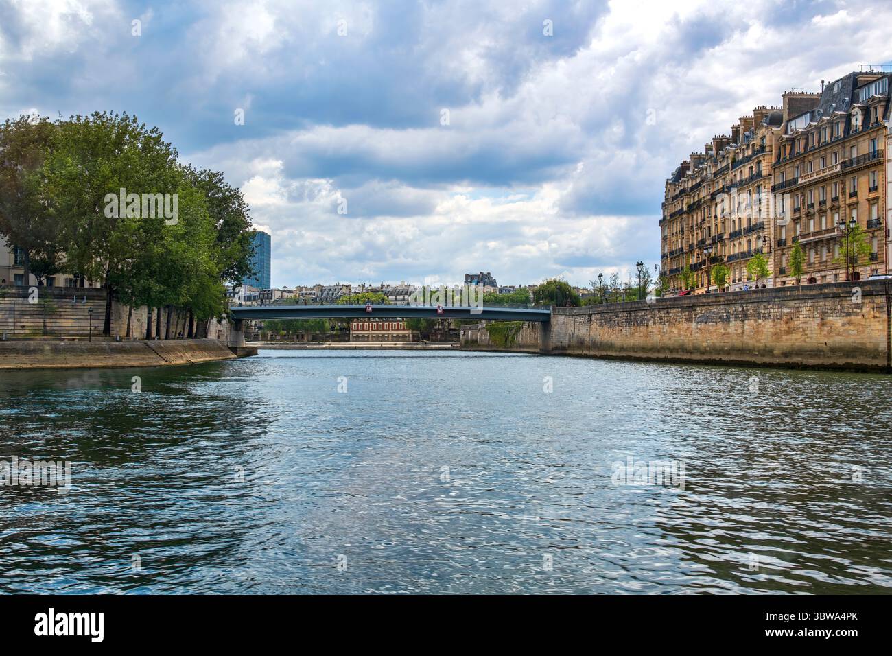 Il fiume Senna a Parigi e l'architettura della città. Foto Stock