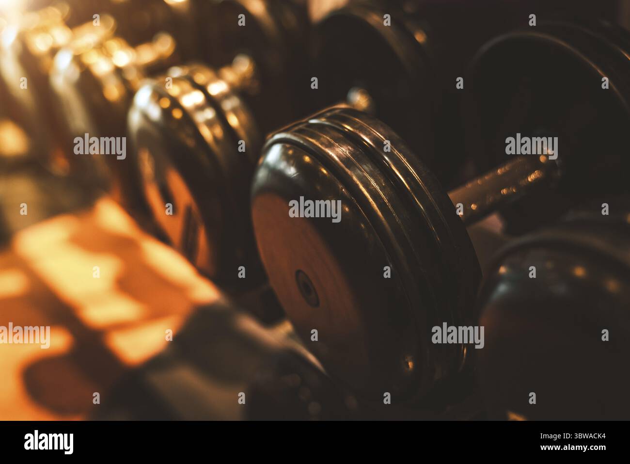 Set manubri in acciaio nero. Primo piano dei manubri sulla griglia sullo sfondo del centro fitness sportivo. Allenamento e palestra. In salute e bene Foto Stock