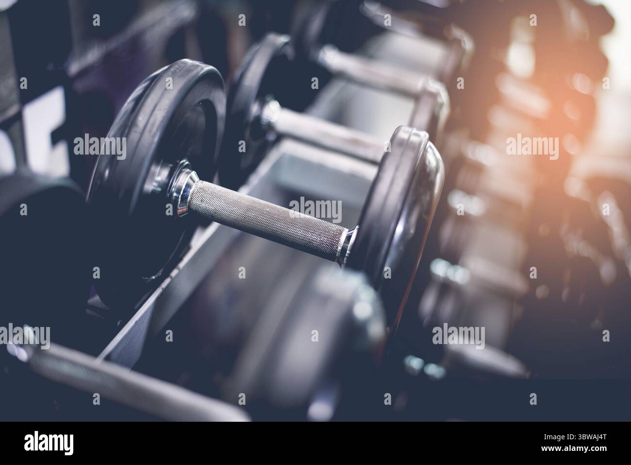Acciaio nero dumbbell set. Close up di pesi su rack in sport fitness center. Formazione di allenamento e palestra per il fitness concetto. Salute e benessere essendo conc Foto Stock