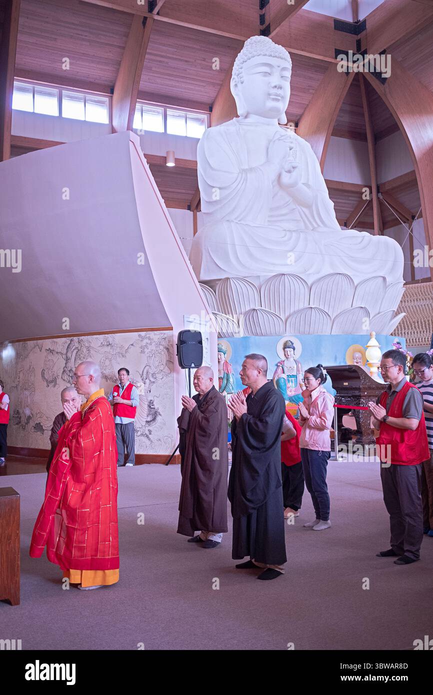 Un sacerdote abate buddista conduce la congregazione ad una cerimonia illuministica di Kuan Yin Bodhisattva nella sala del grande Buddha in un monastero del Carmelo. Foto Stock