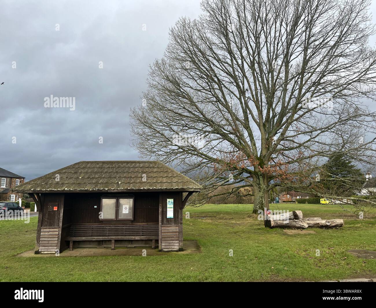 Numerose riprese della campagna, della fauna selvatica e delle giornate divertenti in giro per l'Oxfordshire Foto Stock