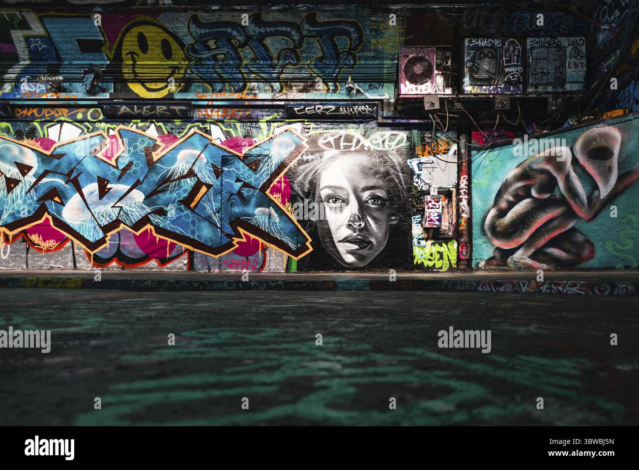 Scena Street art che mostra graffiti espressivi con tag, personaggi e dettagli murali. Londra, Regno Unito, 5 novembre 2023 Foto Stock