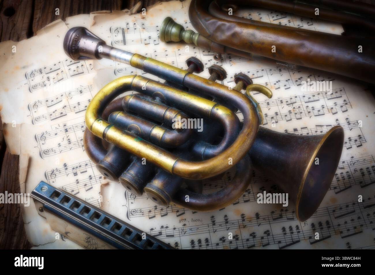 La vecchia natura morta rustica del Corno Foto Stock