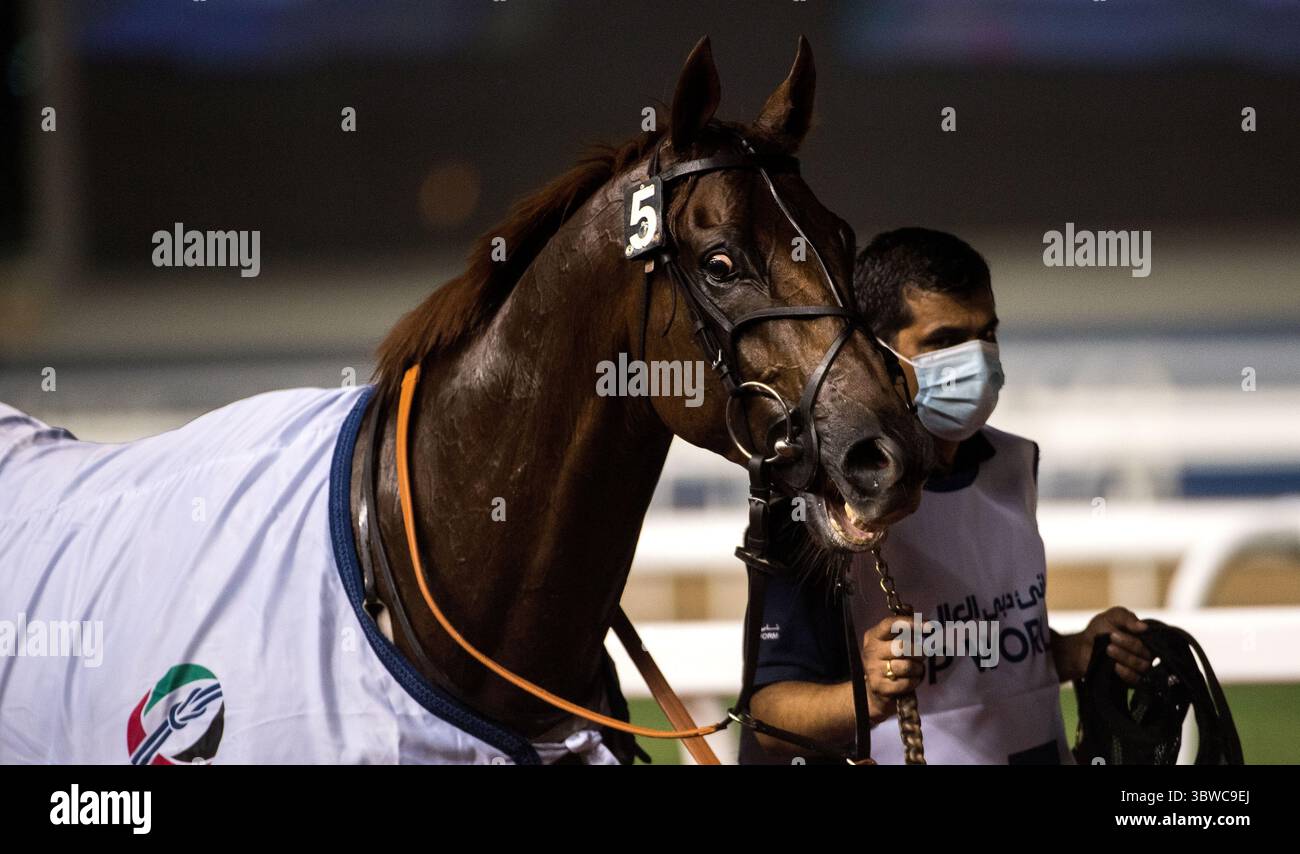 3 dicembre 2020, Dubai, AE: KANOOD torna indietro dopo aver vinto gara 2 P & o Marinas Maiden over 2000m (10 furlongs) all'ippodromo Meydan di Dubai, Emirati Arabi Uniti, 3 dicembre 2020. (Immagine di credito: © Martin Dokoupil/ZUMA Wire) Foto Stock