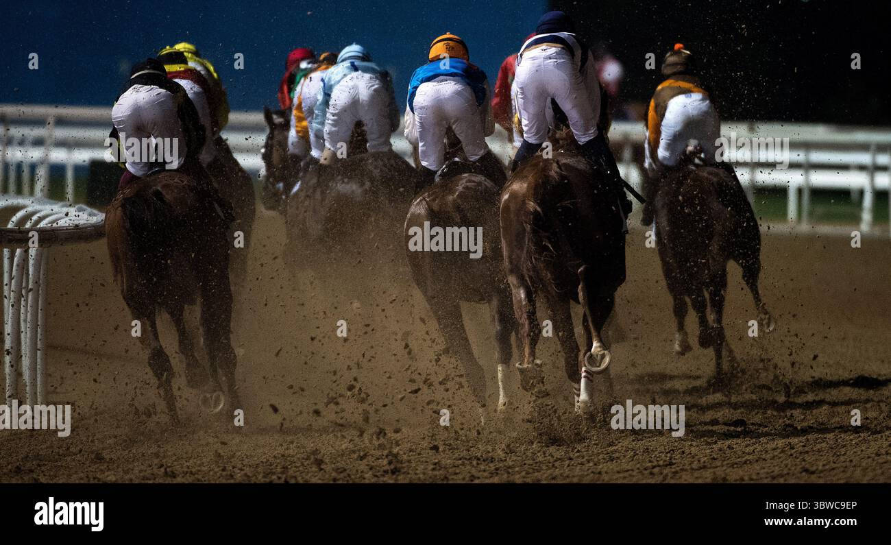 3 dicembre 2020, Dubai, AE: Cavalli galoppano in una svolta in gara 2 P & o Marinas Maiden over 2000m (10 furlongs) presso l'ippodromo Meydan di Dubai, Emirati Arabi Uniti, 3 dicembre 2020. (Immagine di credito: © Martin Dokoupil/ZUMA Wire) Foto Stock