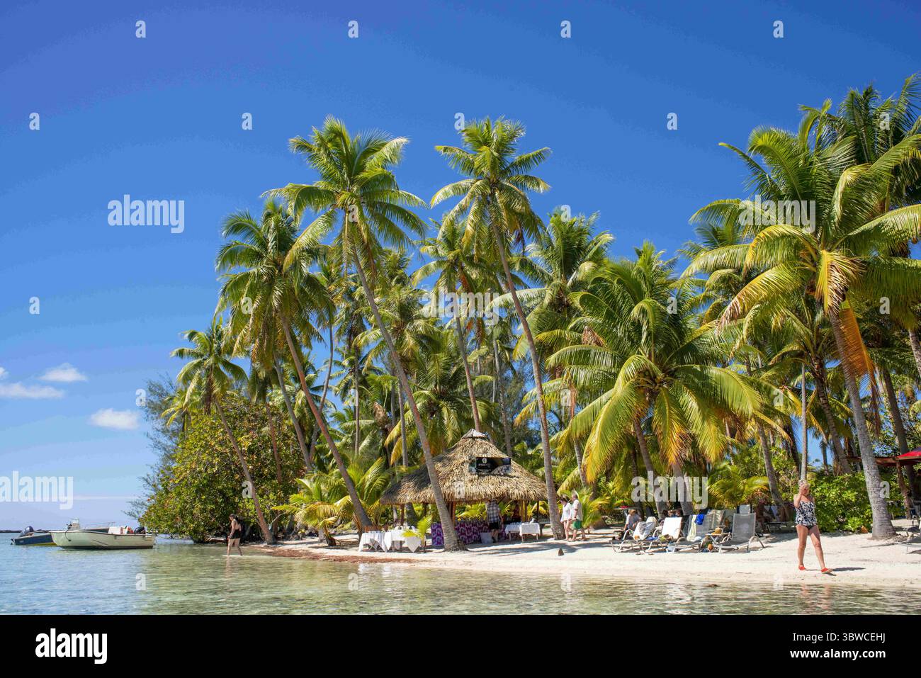 26 marzo 2015, Polinesia francese: Paradiso tropicale paesaggio marino dell'isola di Tahaa'a, Polinesia francese. Palme Motu Mahana sulla spiaggia, Tahaa'a, Isole della società, Polinesia francese, Pacifico meridionale. (Immagine di credito: © Sergi Reboredo/ZUMA Wire) Foto Stock