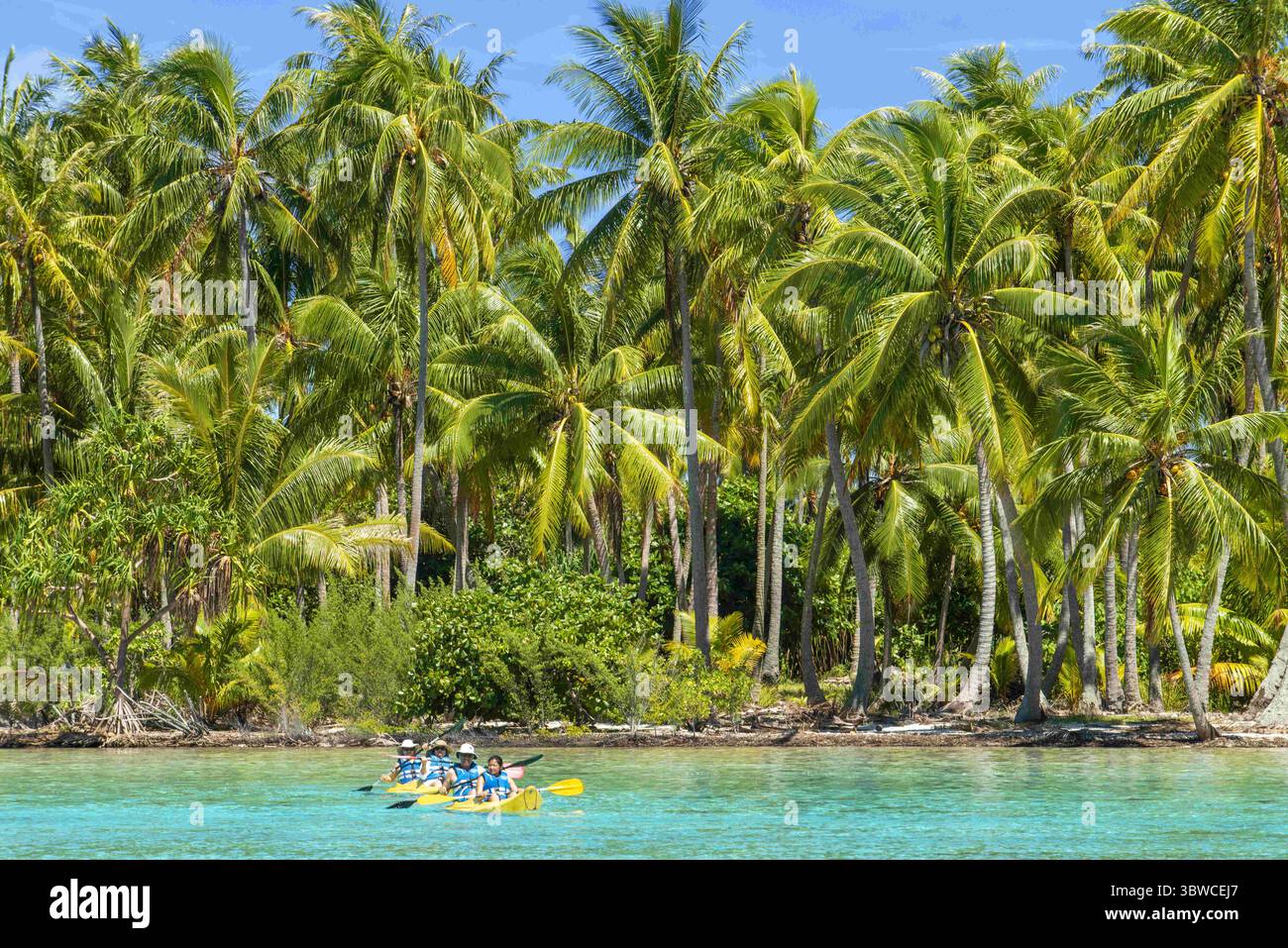 25 marzo 2015, Polinesia francese: Kayak sulla spiaggia dell'isola di Taha'a, Polinesia francese. Palme Motu Mahana sulla spiaggia, Tahaa'a, Isole della società, Polinesia francese, Pacifico meridionale. (Immagine di credito: © Sergi Reboredo/ZUMA Wire) Foto Stock