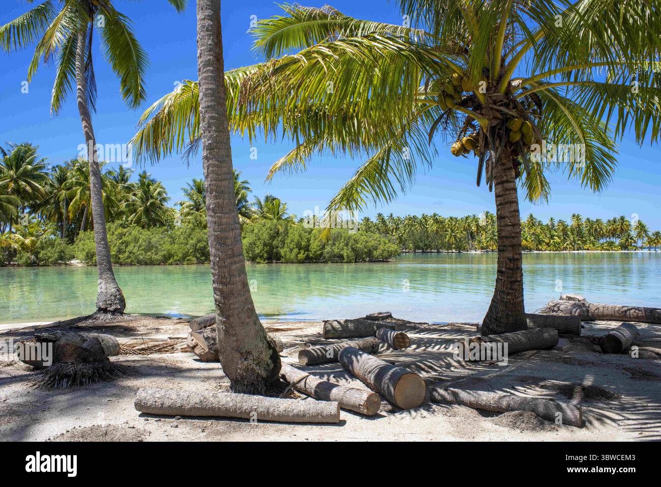 26 marzo 2015, Polinesia francese: Paradiso tropicale paesaggio marino dell'isola di Tahaa'a, Polinesia francese. Palme Motu Mahana sulla spiaggia, Tahaa'a, Isole della società, Polinesia francese, Pacifico meridionale. (Immagine di credito: © Sergi Reboredo/ZUMA Wire) Foto Stock