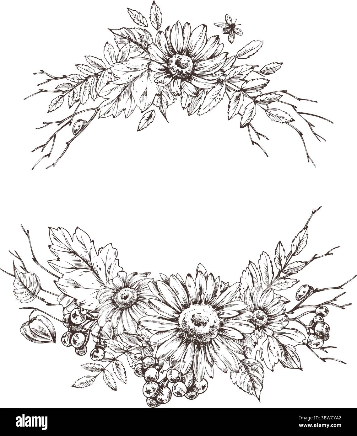 Composizione floreale corona con foglie autunnali, frutti di bosco e fiori selvatici, realizzata con la tecnica della grafica lineare. Ideale per decorare stagionalmente Illustrazione Vettoriale