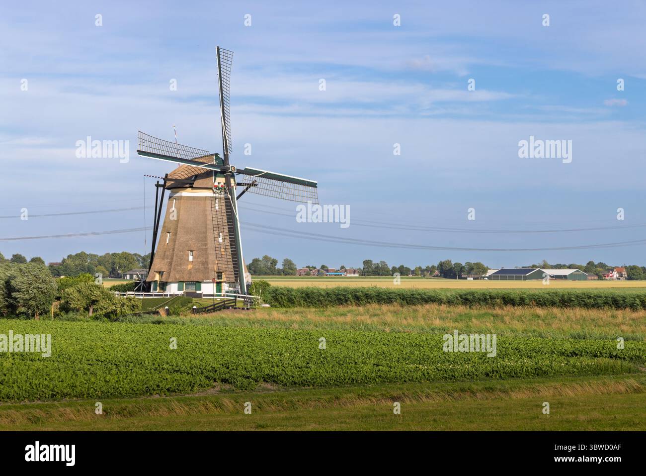 Un classico mulino a vento olandese si erge maestosamente in un paesaggio pianeggiante di polder, circondato da campi verdi sotto un vasto cielo. Zevenhuizen Paesi Bassi Foto Stock