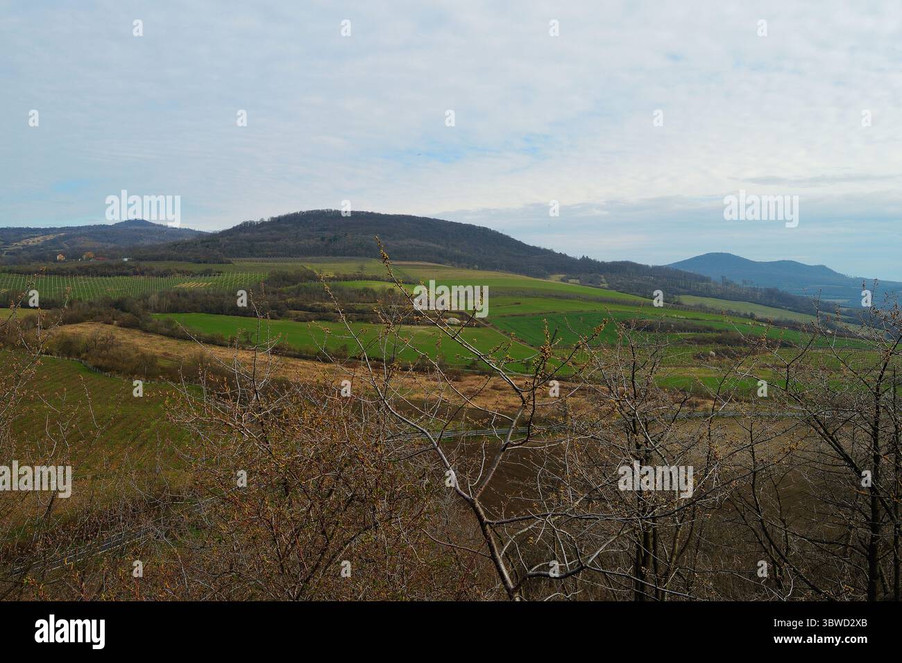 Luce soffusa e nuvolosa sui campi rurali cechi del paesaggio collinare all'inizio della primavera Foto Stock