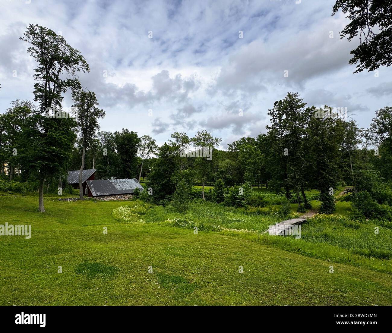 Ampia veduta della campagna nordica con Ponte in legno: Ampia veduta della campagna di Fagervik a Uusimaa, Finlandia. Lussureggiante vegetazione estiva e storica campagna sce - Immagine stock catturata con smartphone