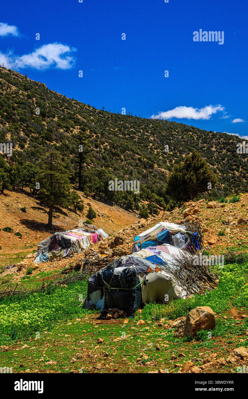 Una visita con una famiglia di montagna, Tiguelmamine, Fez-Meknes, Marocco Foto Stock