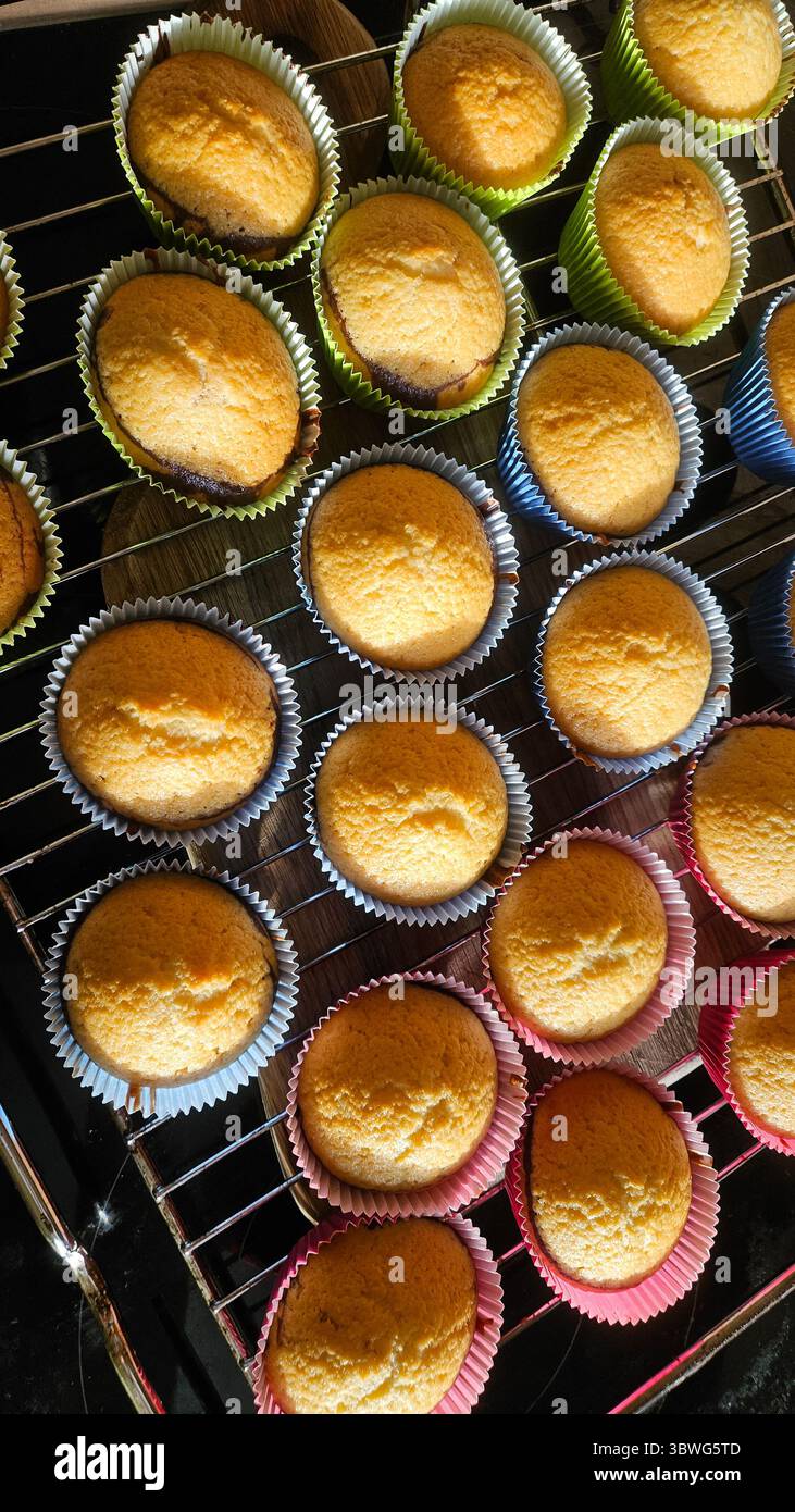I cupcake dorati si raffreddano su una griglia metallica, appena sfornati in carta colorata. I cupcake presentano una parte superiore perfettamente arrotondata, che mostra un appetitoso Foto Stock