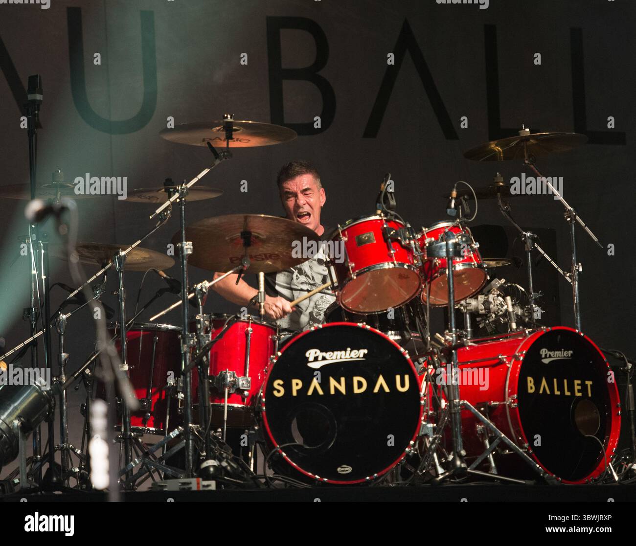 24 gennaio 2015, Los Angeles, California, USA: JOHN KEEBLE dello Spandau Ballet al Wiltern Theater di Los Angeles, California (immagine di credito: © Charlie Steffens/ZUMA Wire) Foto Stock