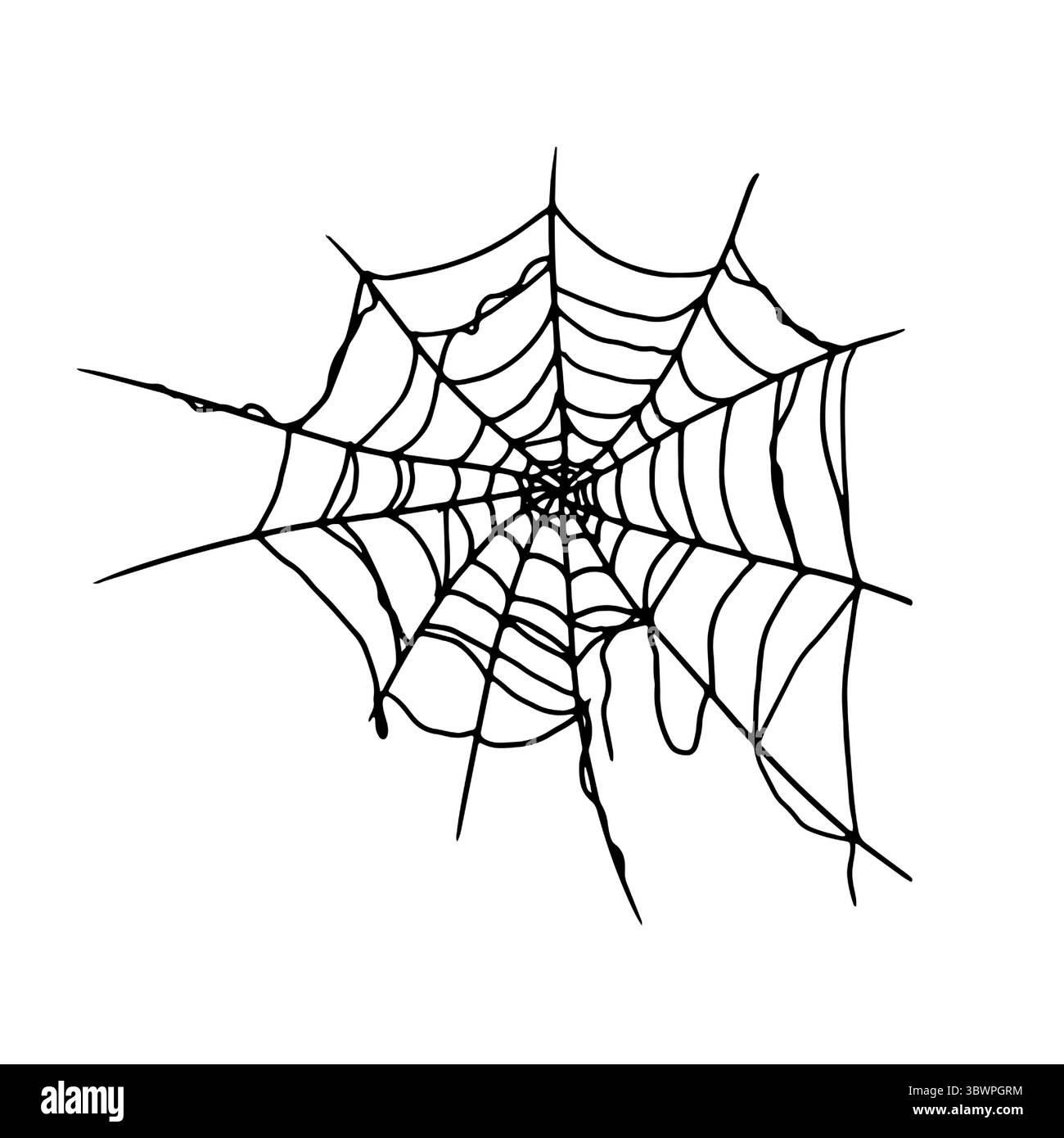 Ragnatela, silhouette, inchiostro bianco e nero. Illustrazione vettoriale. Il tradizionale decor della festa di Halloween e' isolato su uno sfondo bianco Illustrazione Vettoriale