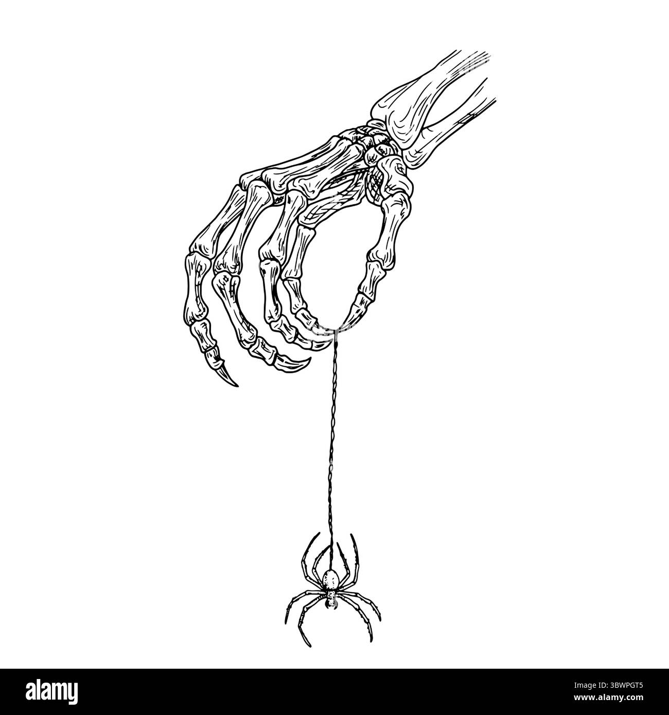 Una mano scheletrica con artigli tiene un ragno su una ragnatela, schizzo a inchiostro bianco e nero. Illustrazione vettoriale. Decorazioni classiche di Halloween: Ossa, scheletri Illustrazione Vettoriale