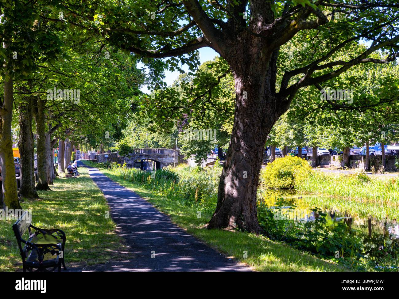 Persone sedute sulle panchine lungo il Canal grande vicino al ponte Huband. Rilassante paradiso naturale in città nelle soleggiate giornate estive. Dublino, Irlanda, Europa Foto Stock