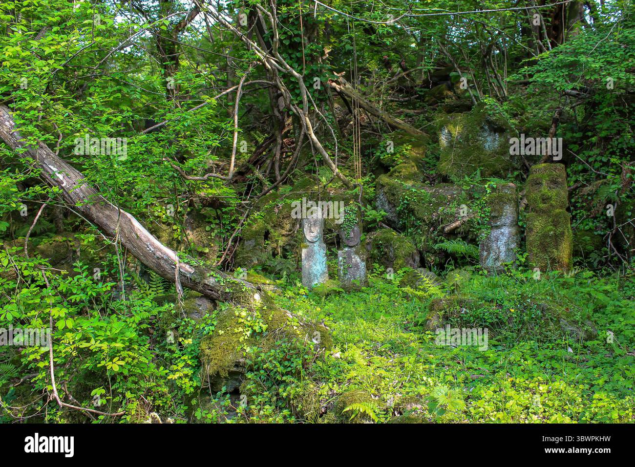 Antiche statue di pietra ricoperte di muschio e circondate da lussureggiante vegetazione in una foresta sull'isola di Jeju, Corea del Sud. Foto Stock