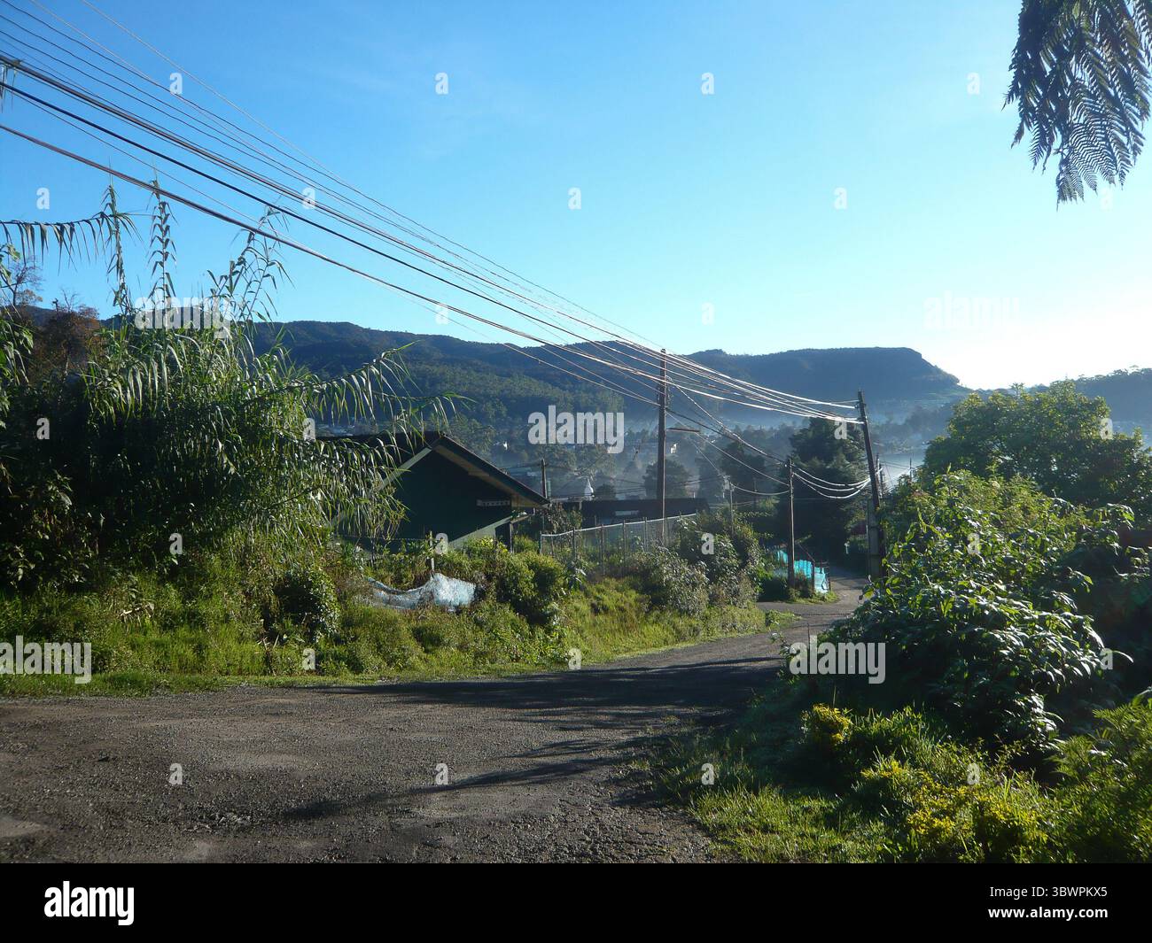 Strada rurale con pali elettrici e fili, vegetazione verde e montagne nebbiose sullo sfondo sotto il cielo limpido del mattino. Foto Stock