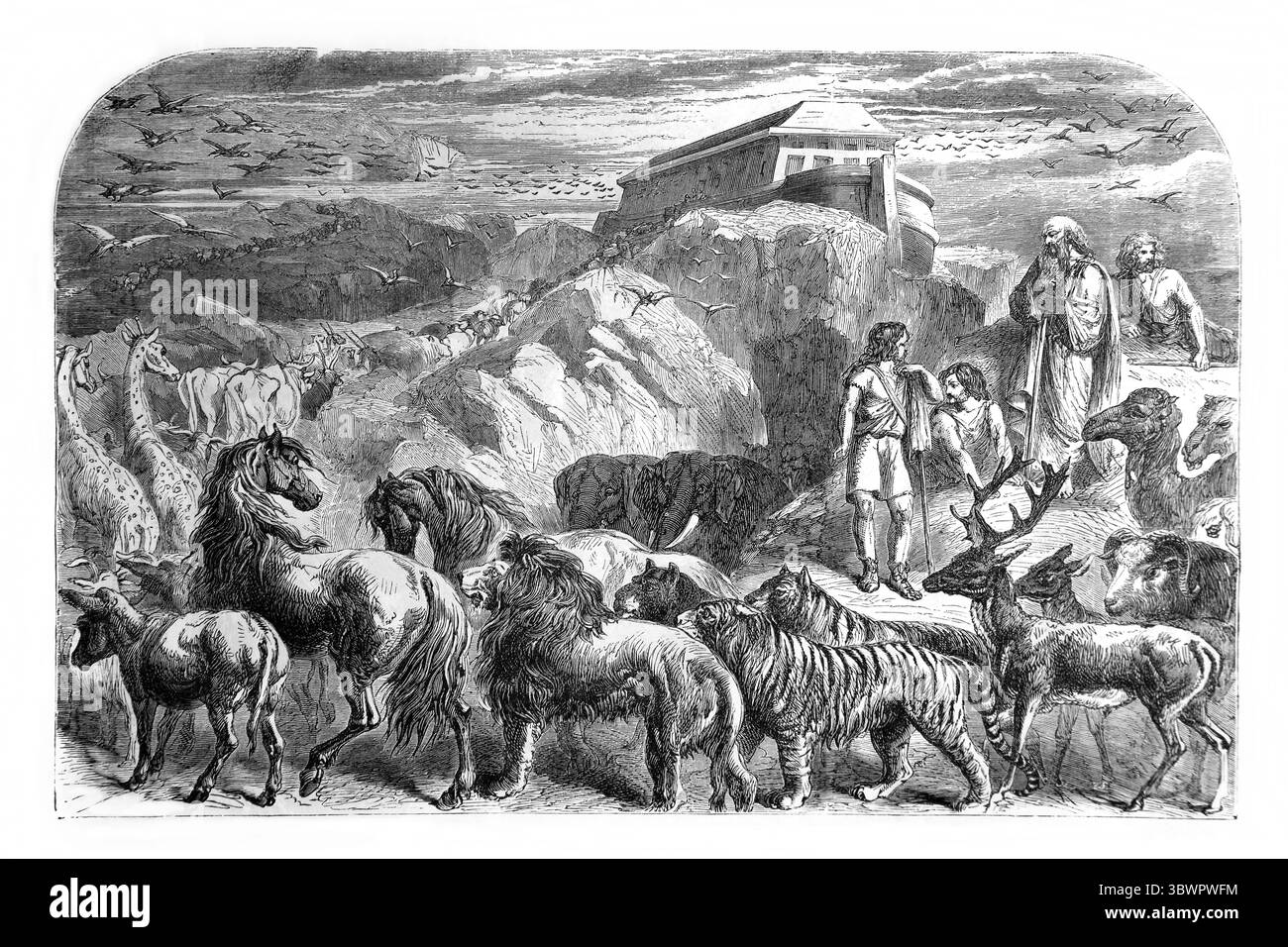 Illustrazione di Noè e della sua famiglia con gli animali che accolgono l'Arca di Noè due per due dalla Genesi dell'Antica Ottocento The Holy Bible contai Foto Stock