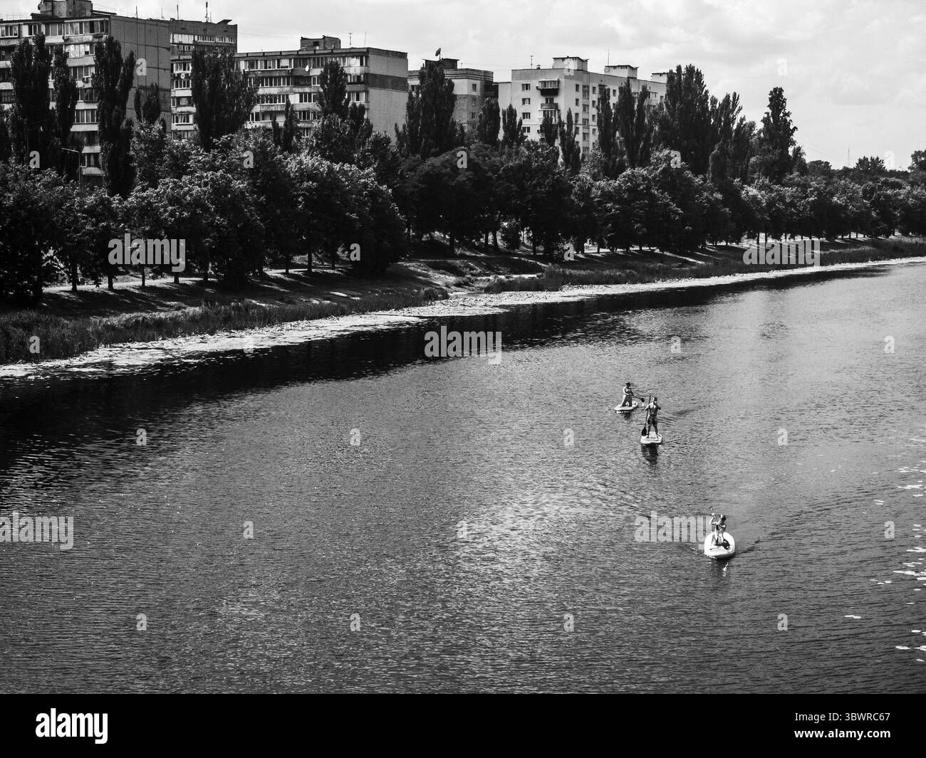 Immagine in bianco e nero di atleti che pagaiano sulle loro tavole da paddle in piedi su un fiume vicino a un'area residenziale con condomini Foto Stock