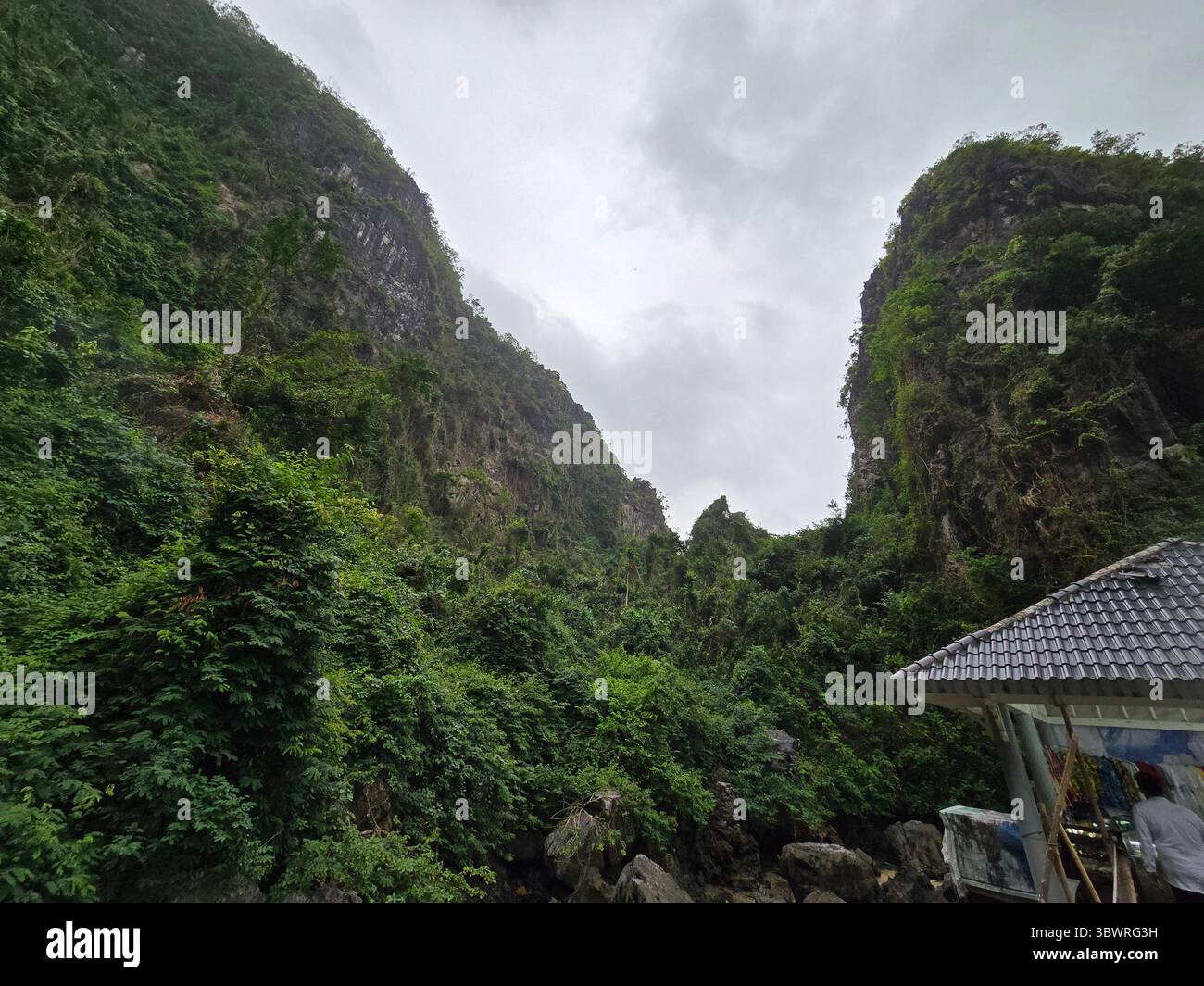 Ha Long Bay, Vietnam - mattina nuvolosa e piovosa sul porto di ha Long Bay in Vietnam Foto Stock