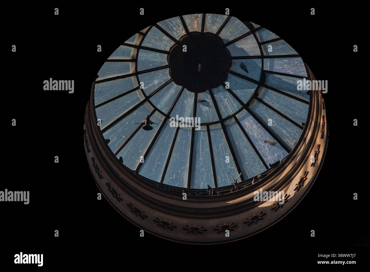 I piccioni volano sopra la cupola della cattedrale, sotto il soffitto Foto Stock
