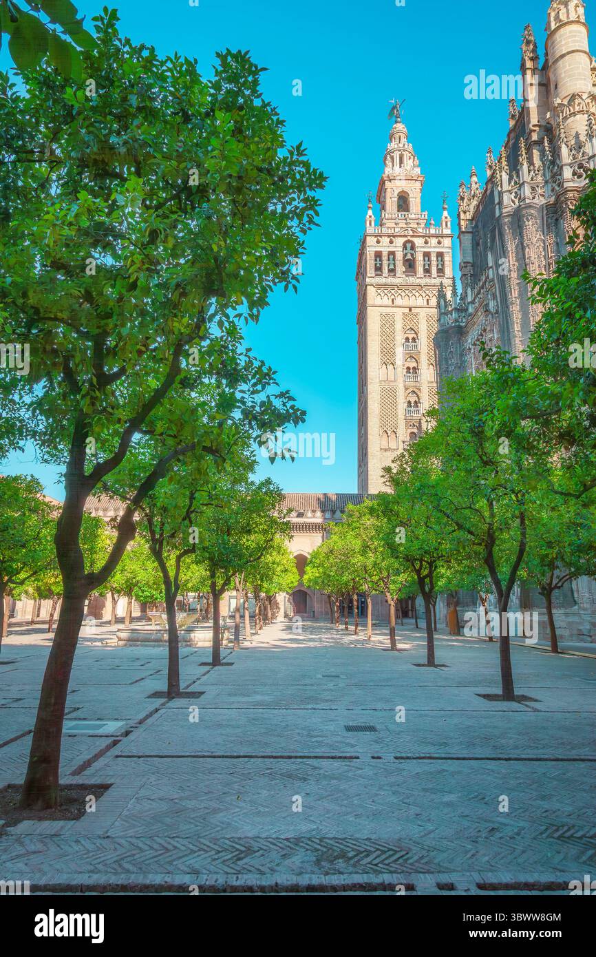 Vista della torre della cattedrale la Giralda dal Patio de los Naranjos, cortile con arancio. Siviglia, Andalusia, Spagna Foto Stock