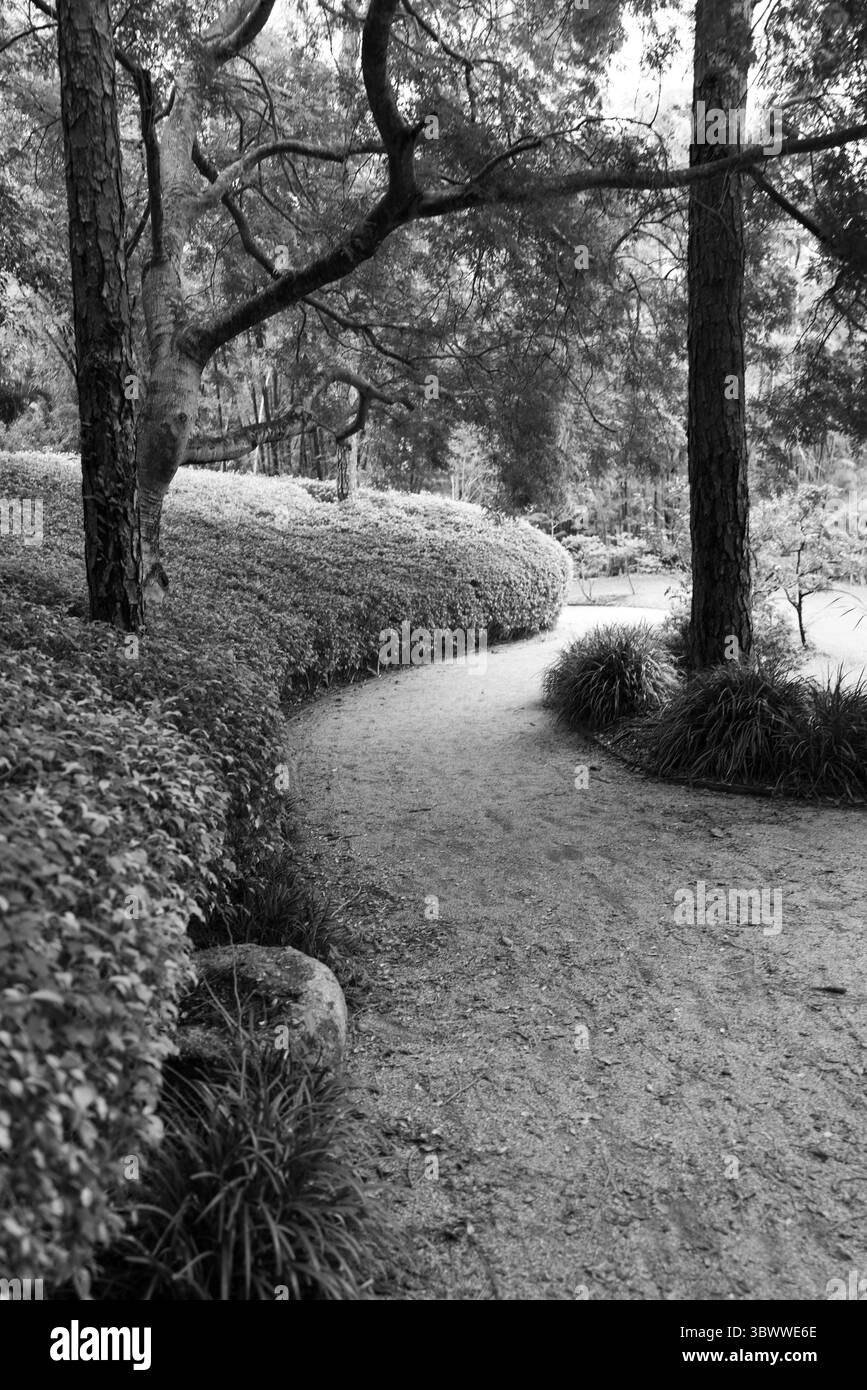 Percorso curvo attraverso un tranquillo giardino con siepi e alberi, presentato in tenui toni di bianco e nero. Foto Stock