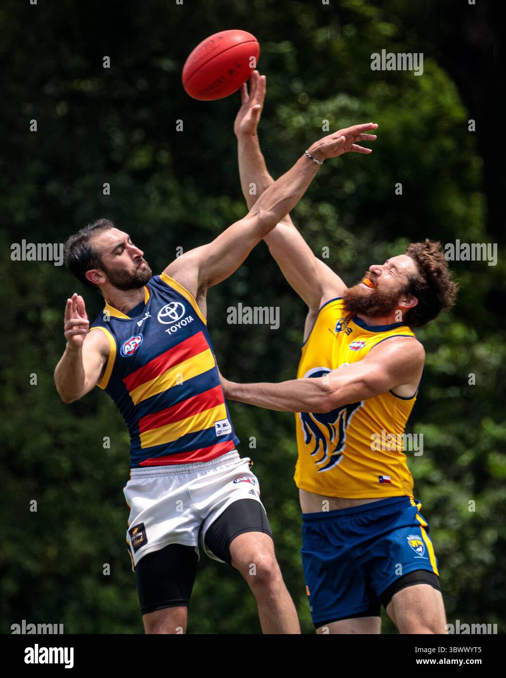 12 giugno 2021, Austin, Texas, Stati Uniti: Partita della United States Australian Football League tra i dingo Austin Crows e Dallas all'Onion Creek Soccer Complex di Austin, Texas. (Immagine di credito: © Ralph Arvesen/ZUMA Press) Foto Stock