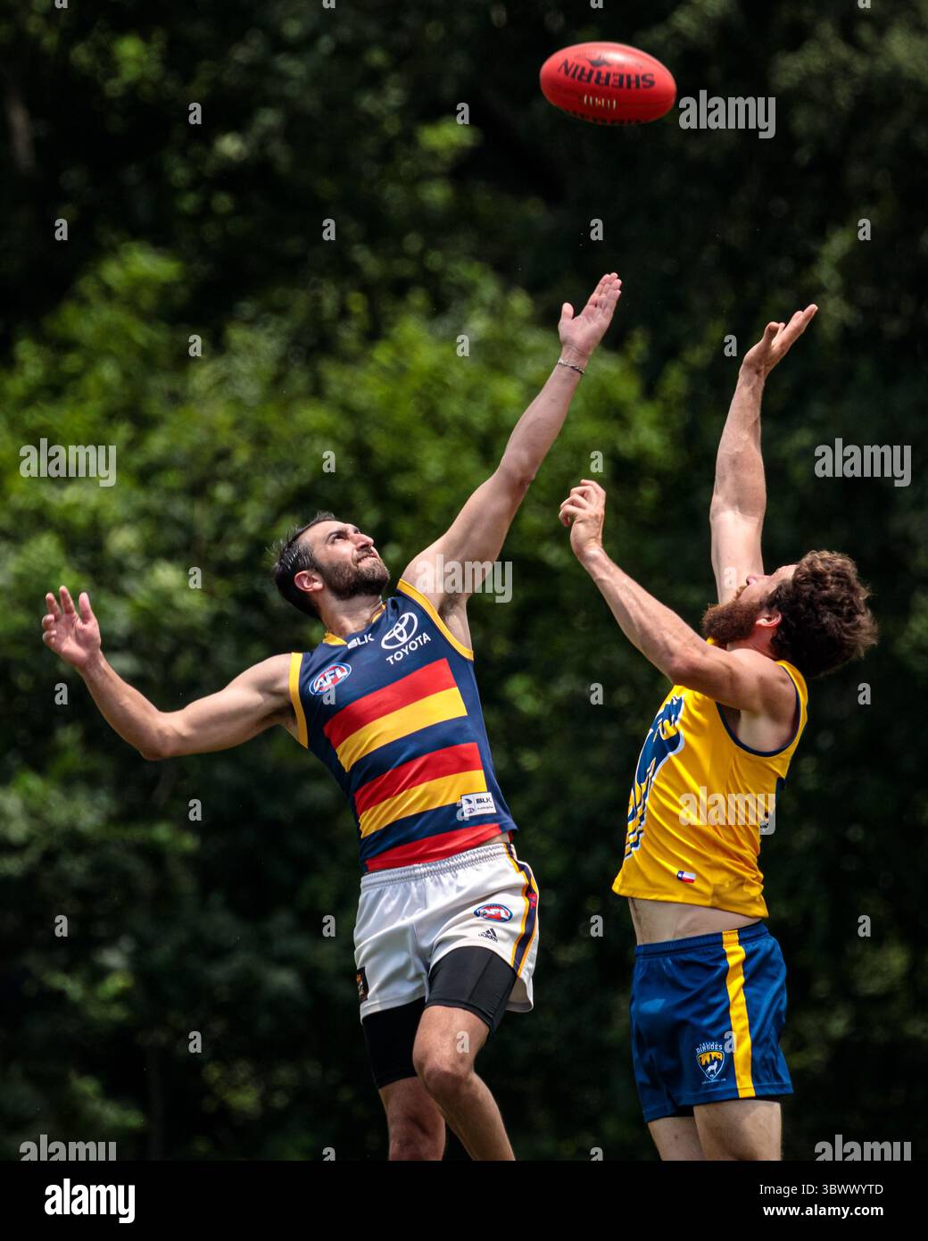 12 giugno 2021, Austin, Texas, Stati Uniti: Partita della United States Australian Football League tra i dingo Austin Crows e Dallas all'Onion Creek Soccer Complex di Austin, Texas. (Immagine di credito: © Ralph Arvesen/ZUMA Press) Foto Stock
