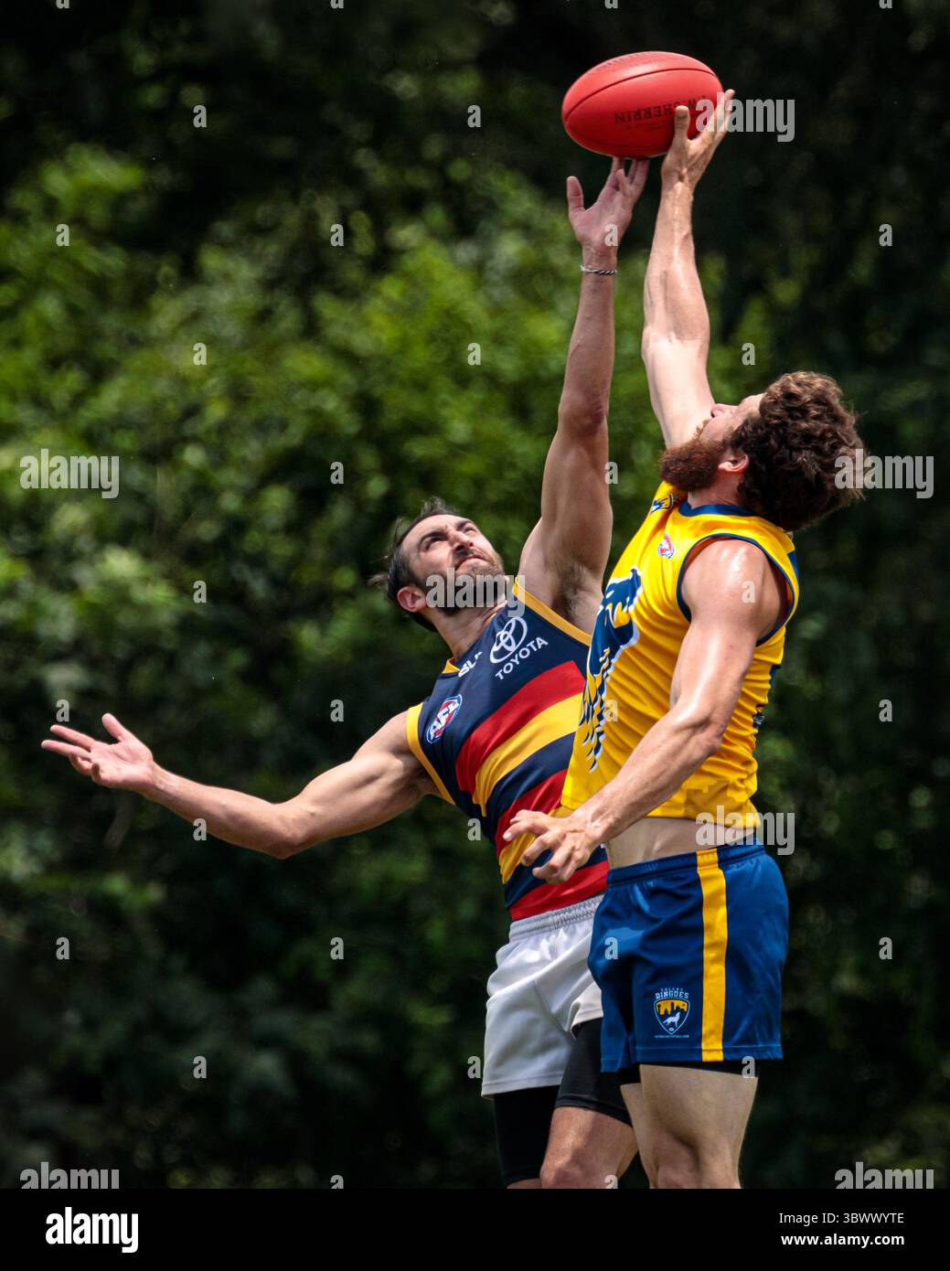 12 giugno 2021, Austin, Texas, Stati Uniti: Partita della United States Australian Football League tra i dingo Austin Crows e Dallas all'Onion Creek Soccer Complex di Austin, Texas. (Immagine di credito: © Ralph Arvesen/ZUMA Press) Foto Stock