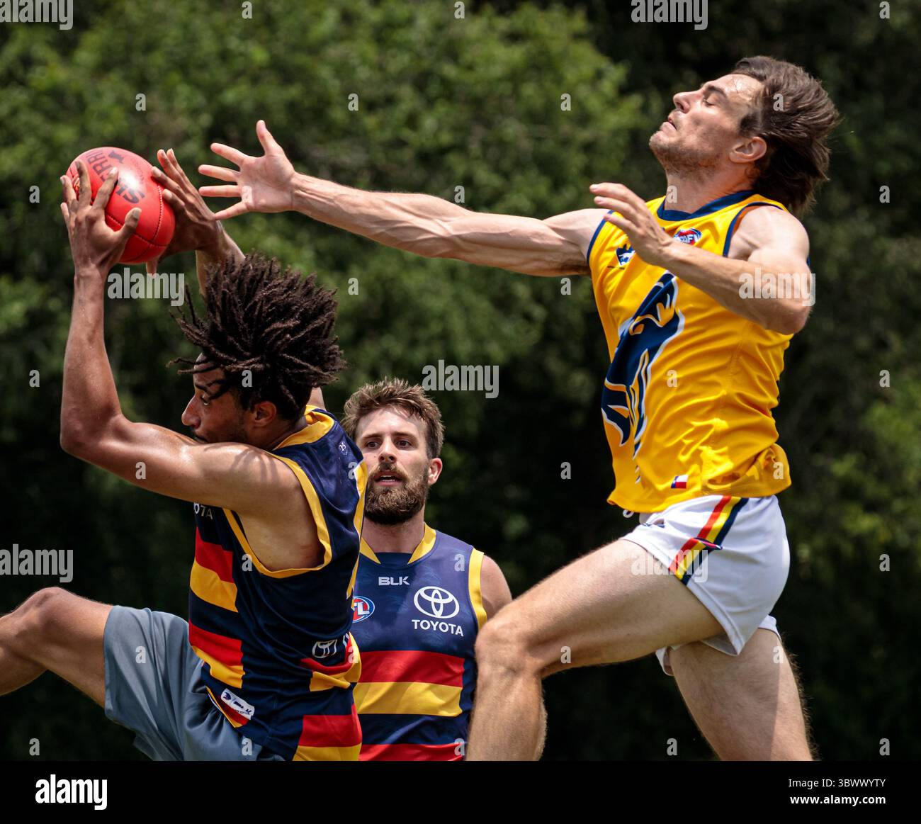 12 giugno 2021, Austin, Texas, Stati Uniti: Partita della United States Australian Football League tra i dingo Austin Crows e Dallas all'Onion Creek Soccer Complex di Austin, Texas. (Immagine di credito: © Ralph Arvesen/ZUMA Press) Foto Stock