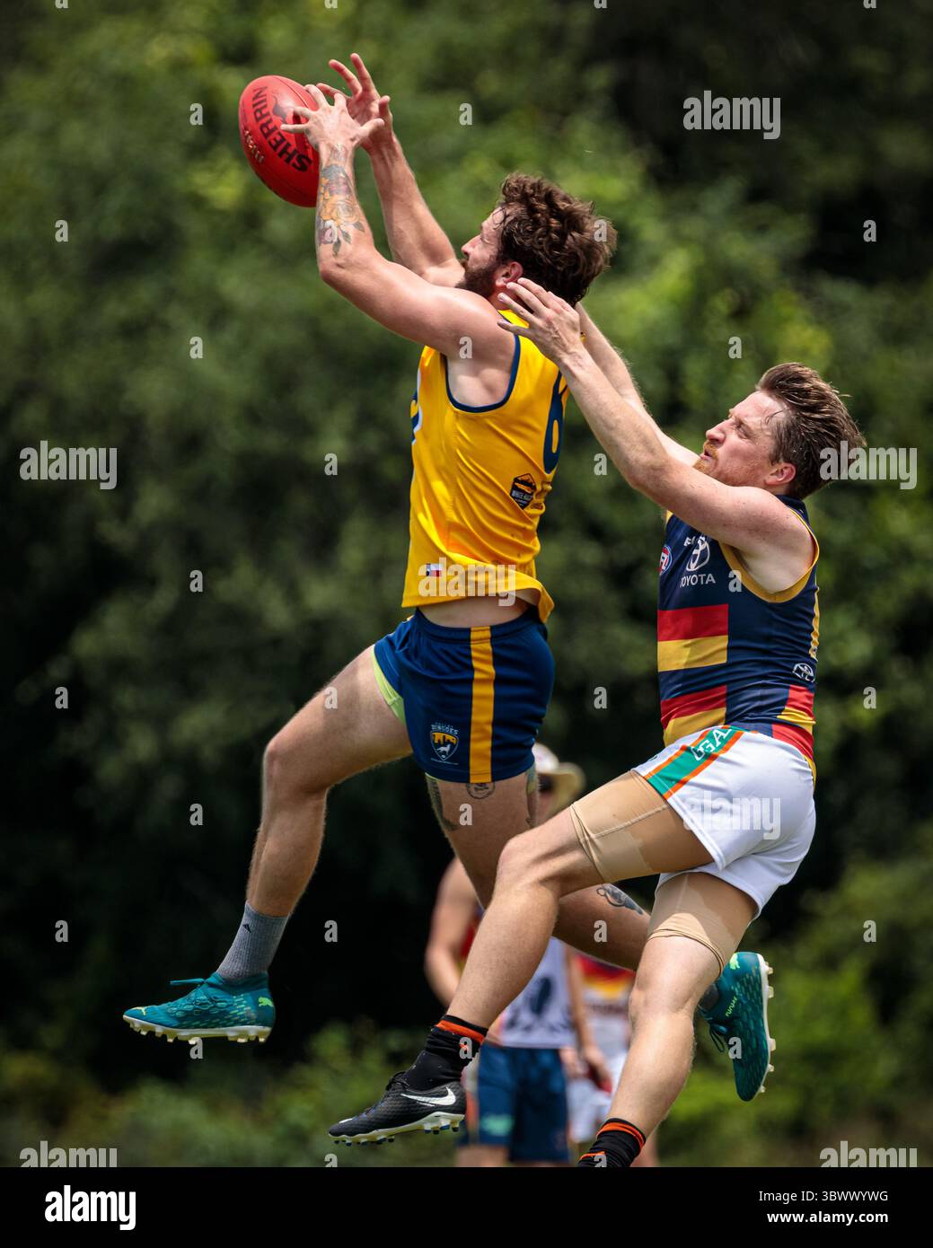 12 giugno 2021, Austin, Texas, Stati Uniti: Partita della United States Australian Football League tra i dingo Austin Crows e Dallas all'Onion Creek Soccer Complex di Austin, Texas. (Immagine di credito: © Ralph Arvesen/ZUMA Press) Foto Stock