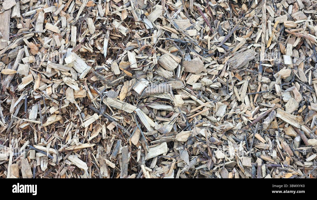 Trucioli di legno grana pacciamatura - sfondo naturale della copertura del terreno Foto Stock