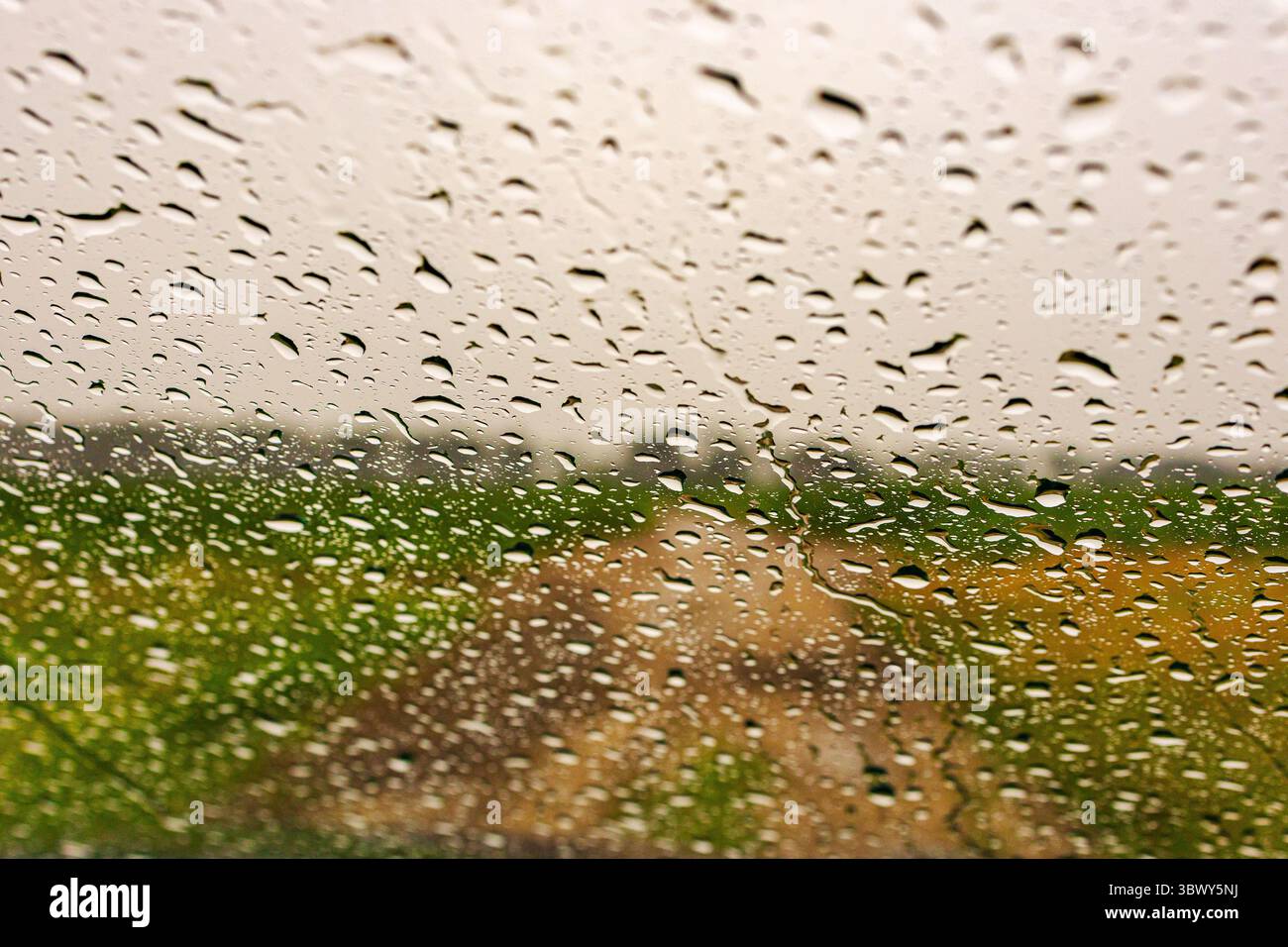 Goccioline d'acqua in tempo piovoso Foto Stock