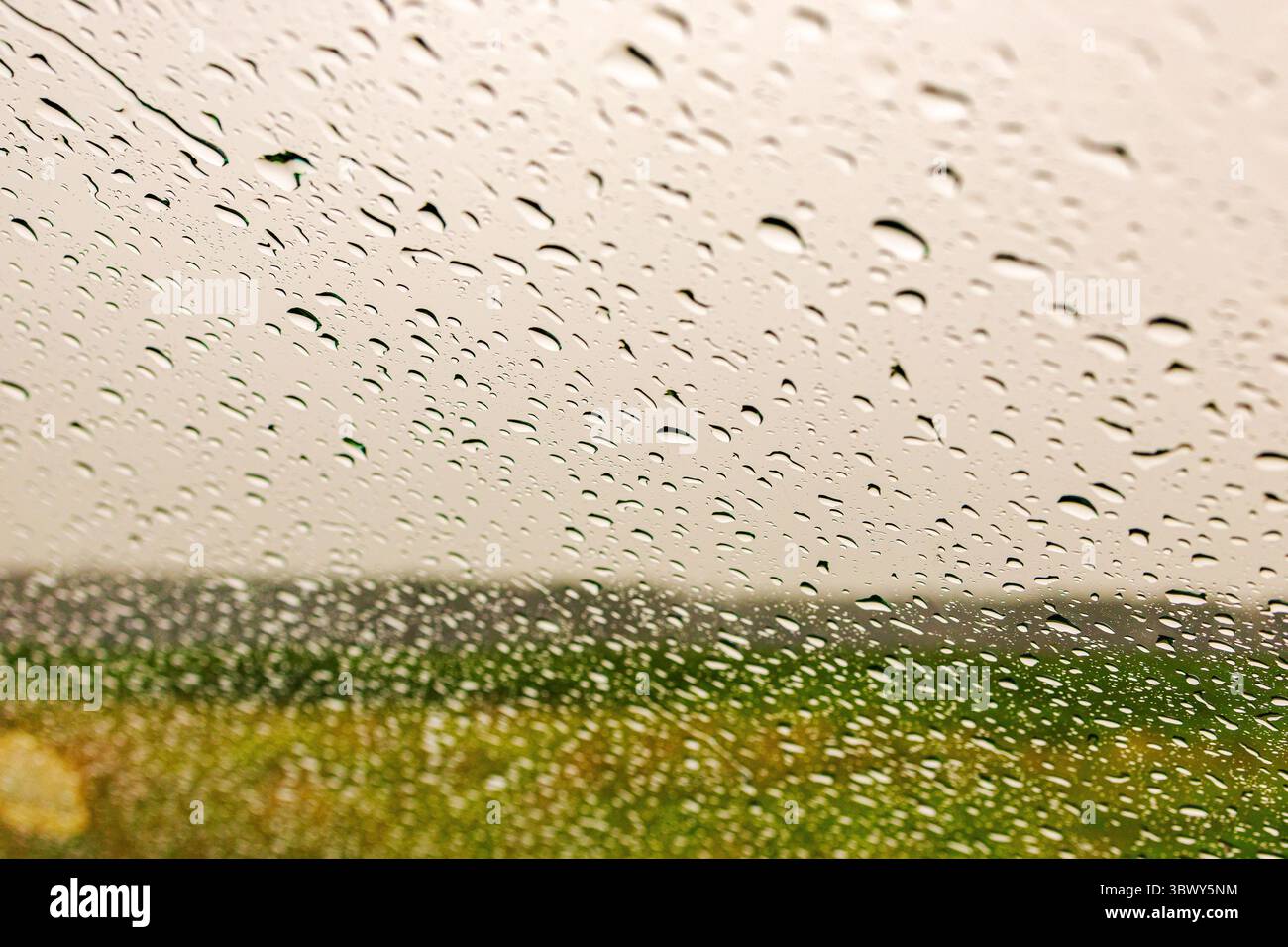 Goccioline d'acqua in tempo piovoso Foto Stock
