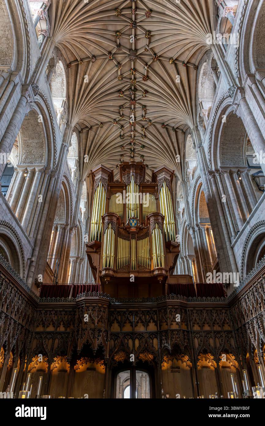 Cattedrale di Norwich, Norfolk, Inghilterra. Costruito nel 1096, la guglia è la seconda più alta in Inghilterra, con i suoi 96 metri di altezza. Una nuova ala fu aggiunta nel 2010. Foto Stock