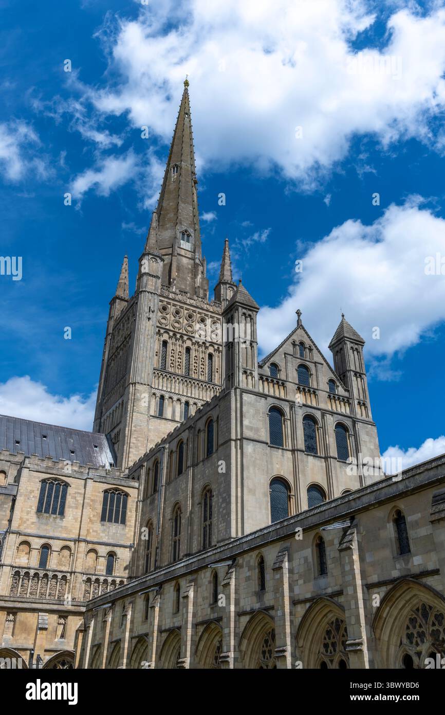 Cattedrale di Norwich, Norfolk, Inghilterra. Costruito nel 1096, la guglia è la seconda più alta in Inghilterra, con i suoi 96 metri di altezza. Una nuova ala fu aggiunta nel 2010. Foto Stock