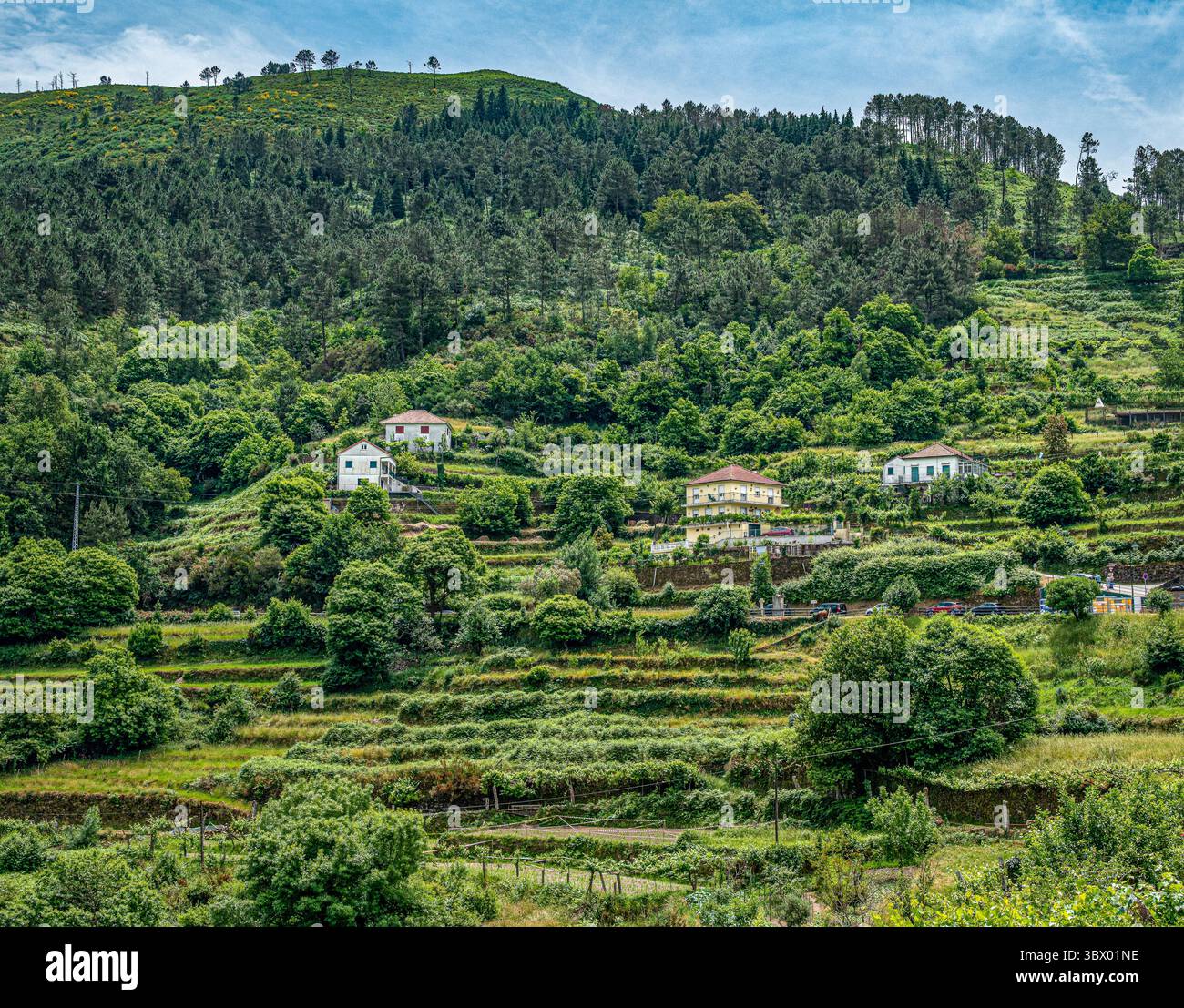 Sistelo, conosciuto come il Tibet portoghese a causa delle terrazze agricole a causa del terreno collinare che circonda il remoto villaggio. Foto Stock