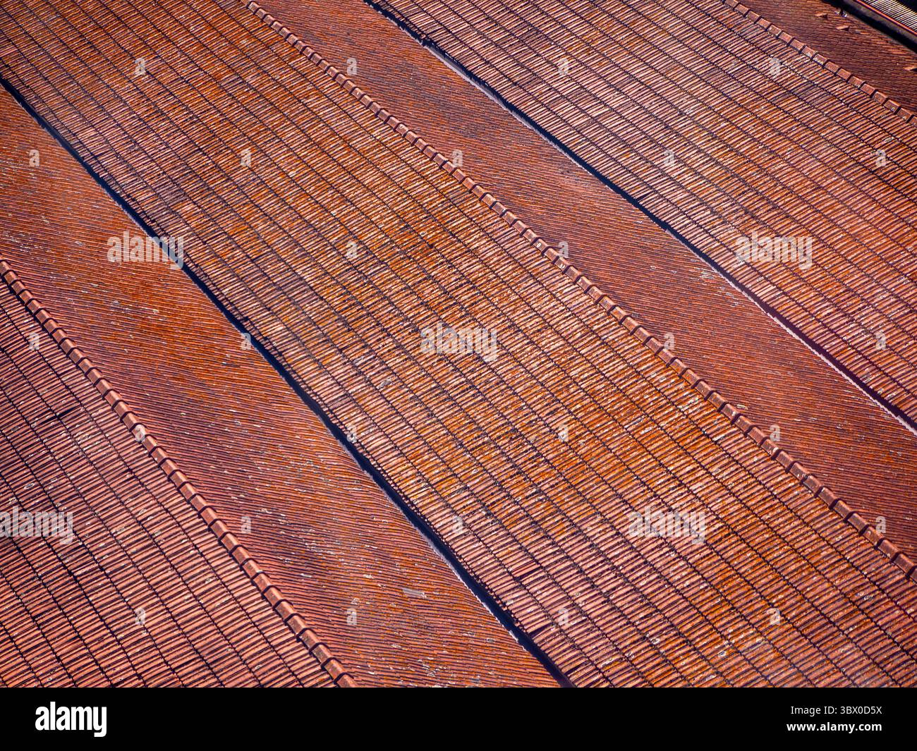 Vista aerea dettagliata dei tetti paralleli con tegole rosse delle cantine portuali, Vila Nova de Gaia, Porto District, Portogallo Foto Stock